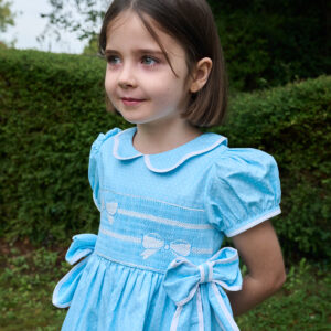 Beau Dress (Red/Blue)