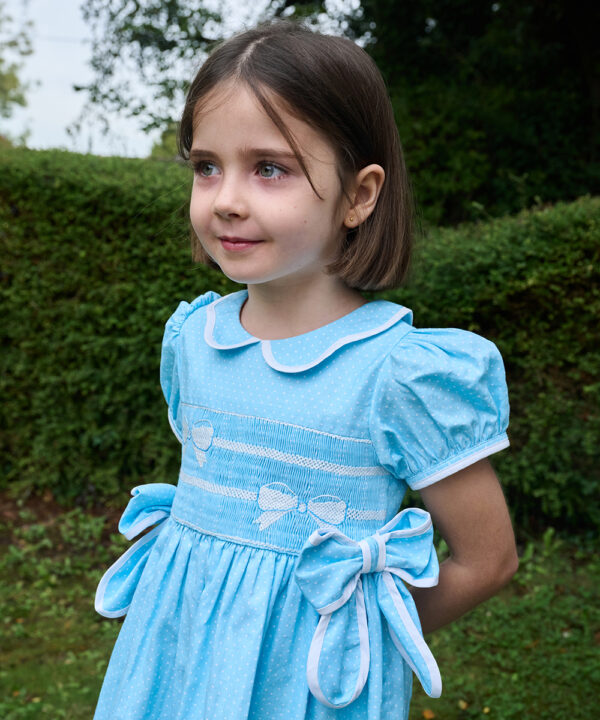 Beau Dress (Red/Blue)