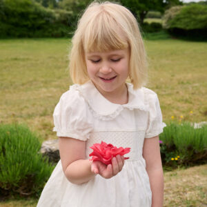 Little Alice Dress