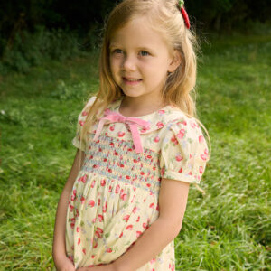 Rose Dress Strawberry